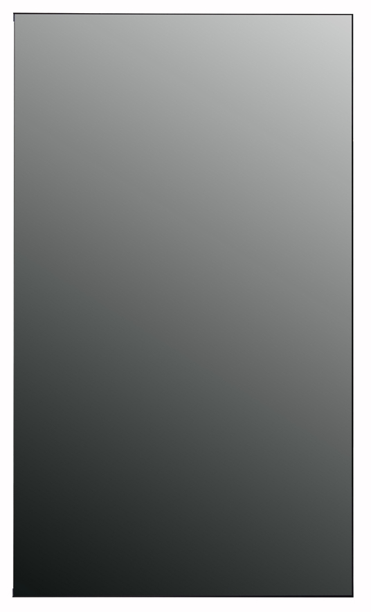 LG 55EV5D 