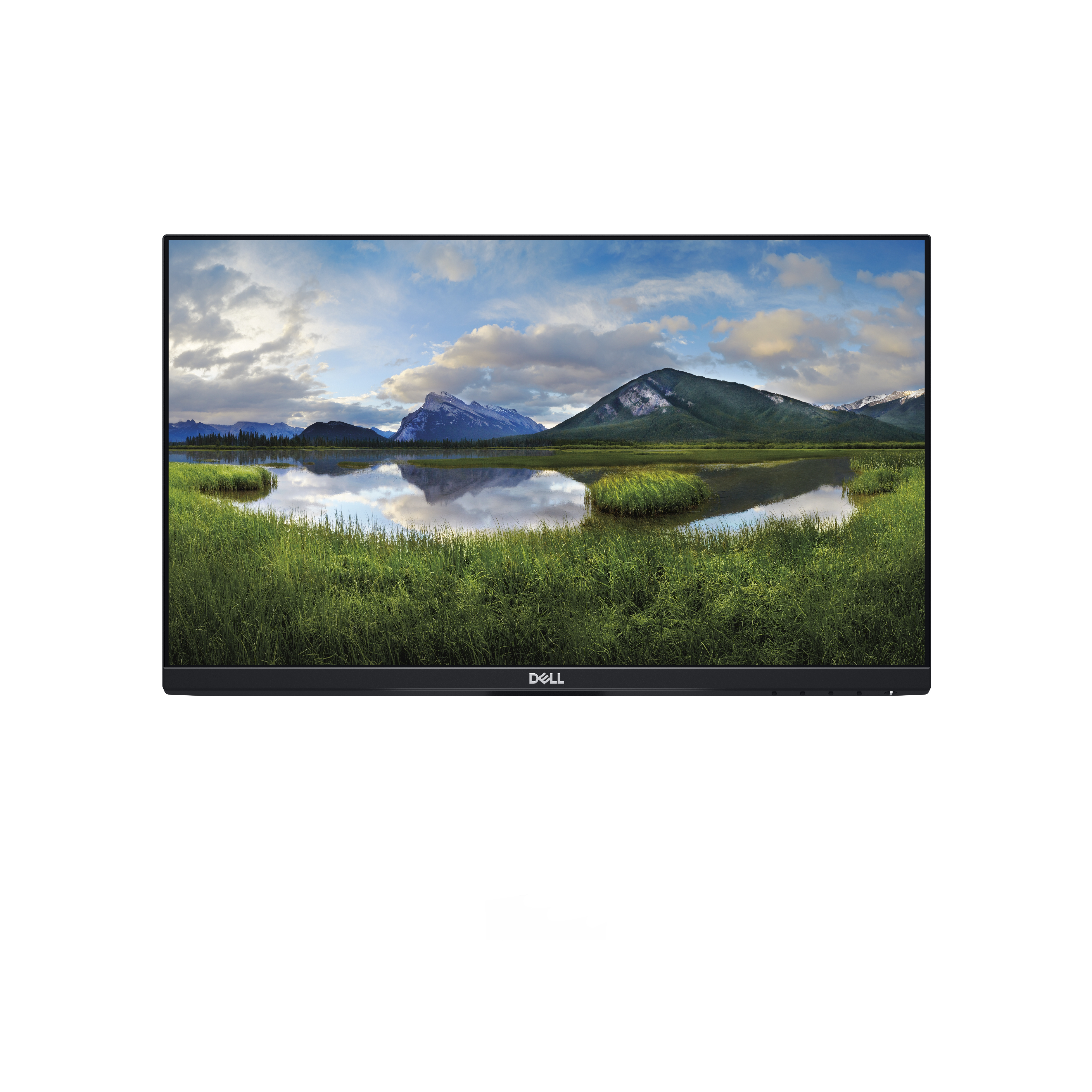 DELL P2219H_WOS 