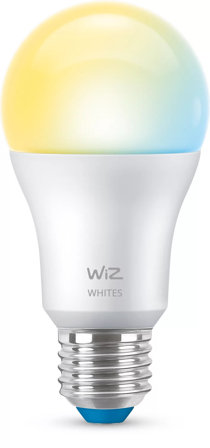 Wiz Bomb Amb 60W E27 27K65K...
