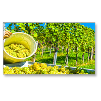 NEC NEC MultiSync X464UNV-2 Signage-Display 116,8 cm (46 Zoll) LED Full HD Digital Beschilderung Flachbildschirm Schwarz http://images.icecat.biz/img/gallery_lows/24620771_9694328351.jpg
