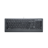 USBKB BU  54Y9256 - Teclado / ratón -