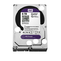 WD Purple 6TB 24x7 WD60PURZ - 5712505247877