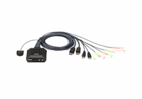 2-Port USBDisplayPort Cable - 4719264645525