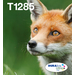 T128