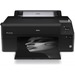 SC-P5000 Violet Spectro 240V