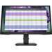 P22 G4 22 FHD Monitor