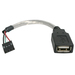 Photo STARTECH             StarTech.com Câble USB 2.0 de 15 cm - USB A femelle vers adaptateur USB carte mère 4 broches F/F