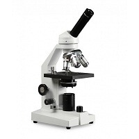 microscopes