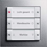 wall transmitters