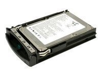 100GB SSD PRIMERGY (OLD LAYOUT