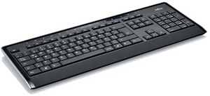 FUJITSU Keyboard KB910 Backlight hintergrundbeleuchtete Tasten spritzwasser resistent schwarz/Rand silber Rote LED 1.8m USB (BE)