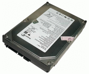 Fujitsu Technology Solutions HDD SATA II 320GB 7.2K (S26361-F3570-L100)