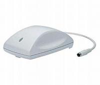B813173 Epson