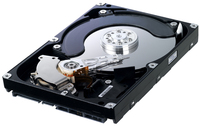 HD502IJ - 500GB