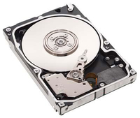 HDD SAS 6G 300GB 15K HOT PL 4051554645168 38034782 - 4051554645168