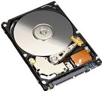 Fujitsu Technology Solutions HDD 320GB