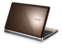 25.4 cm (10) 25,4cm MSI WIND U160-4516W7S Atom N450 1GB 160GB W7S gold [929921]