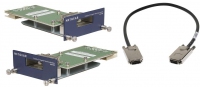 ProSafe™ 24 Gigabit Stacking Kit