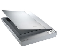 B11B184013 Epson