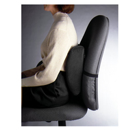 Ergonomic Backrest Black