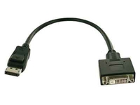 Display Port/DVI Adapter Cable 4333643851712 - Adaptadores -  4333643851712