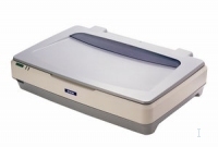 B11B160021 Epson