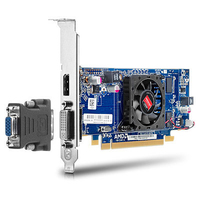 Hewlett Packard AMD RADEON HD 6450 DP 512MB