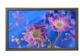 NEC NEC PLASMASYNC 61XM2 61INCH silver 154,9 cm (61 Zoll) Silber http://images.icecat.biz/img/norm/low/97414.jpg NEC NEC PLASMASYNC 61XM2 61INCH silver 154,9 cm (61 Zoll) Silber http://images.icecat.biz/img/norm/low/97414.jpg