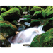 58712 Fellowes Cascades Mouse Pad