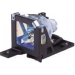 V13H010L25 Replacement lamp