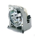 Viewsonic RLC-032 - Replacement lamp for Pro8100