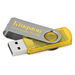 DT101Y/2GB