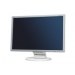 Nec MultiSync E221W