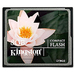 KINGSTON Compact Flash CF 8GB