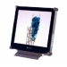 X-17STD Neovo 17” LCD Display X-series Model X-17STD