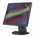 ThinkVision L171p...