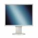 60001480 NEC MultiSync® LCD1970NXp (Silver front bezel, light grey back cabinet)