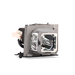Lamp Module f Dell M209X