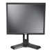 DELL TFT-Display P190S 48.0cm 19Zoll 4:3 TN-Display 1280x1024 bei 60Hz 800:1 250cd/qm 5ms 16.7Mio Farben VGA+DVI Input
