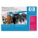 Q8731A Artist Matte Canvas 380 g/m²-A3+/330 x 483 mm/25 sht