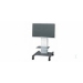 Flat Panel Trolley