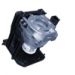 50023919