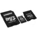 1 GB microSD w/ 2 Adapters