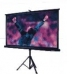 V12H002S13 Epson Mobile Screen 70