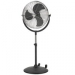 fans