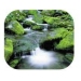 mouse pads