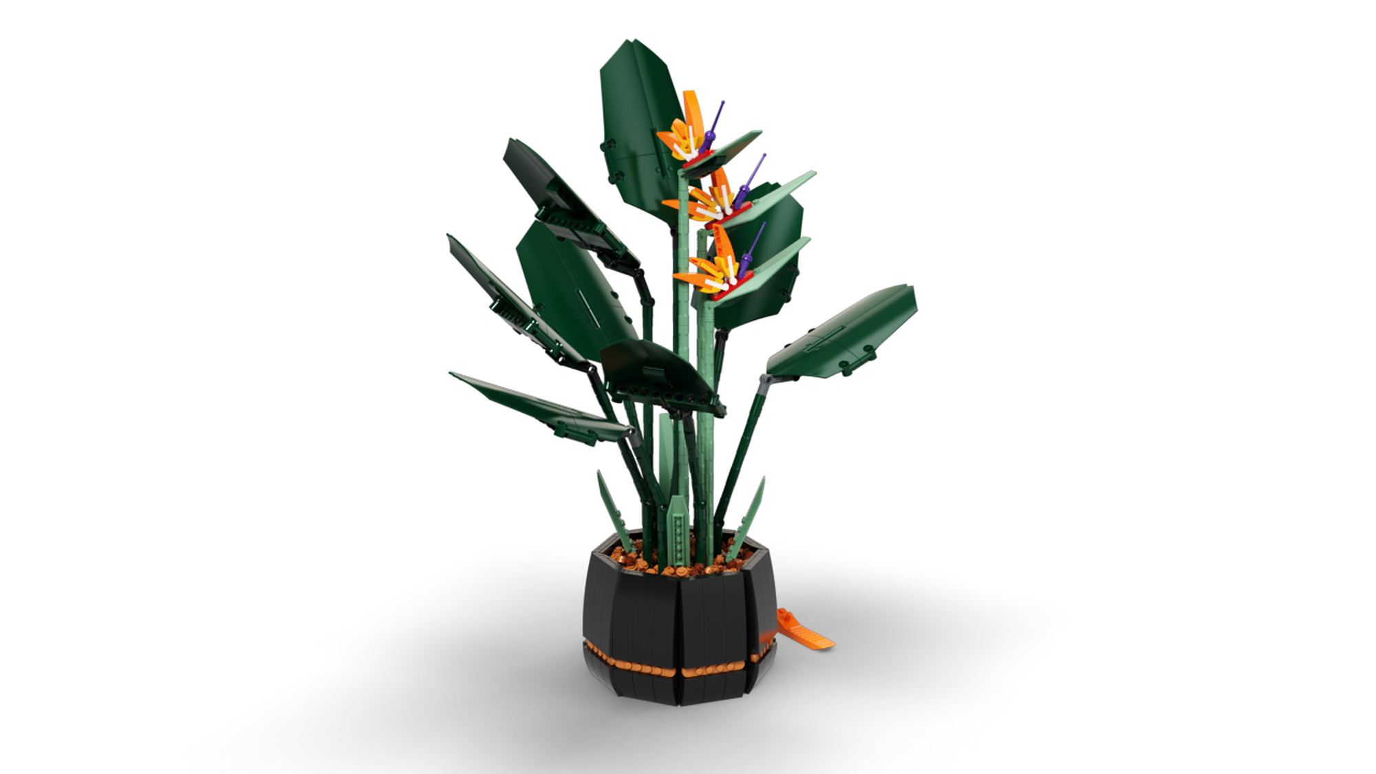 Sono aperti i preordini per la LEGO Botanical Collection 10289 Bird of  Paradise