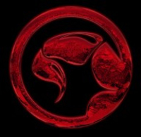 Marvo logo