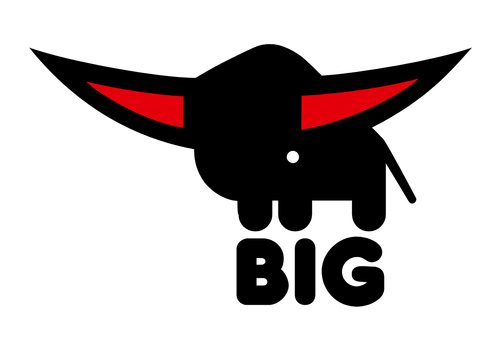 BIG logo
