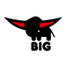 BIG logo